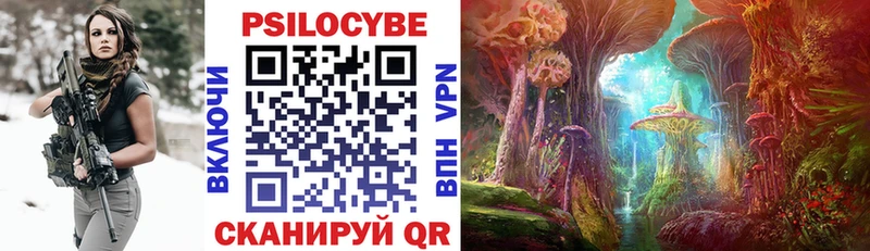 Псилоцибиновые грибы GOLDEN TEACHER  Пучеж 